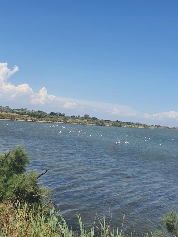 Vacances En Camargue Le Grau-du-Roi Dış mekan fotoğraf